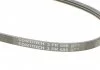 Поліклиновий ремінь FIAT DOBLO, DOBLO/MINIVAN, PALIO, PUNTO, PUNTO/HATCHBACK 1.2ALK-1.6CNG 04.96- CONTITECH 3PK698 (фото 4)