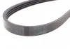 Поліклиновий ремінь DACIA LOGAN, LOGAN II, LOGAN MCV II, SANDERO, SANDERO II NISSAN KUBISTAR RENAULT CLIO II, CLIO II/HATCHBACK, CLIO III, CLIO III/HATCHBACK, KANGOO 1.0-1.2LPG 05.96- CONTITECH 4PK1538 (фото 2)