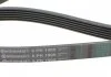 Ремень поликлиновой DAEWOO Nubira 2.0 16V (Пр-во ContiTech) CONTITECH 6PK1905 (фото 3)