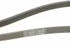 Ремень поликлиновой (Пр-во ContiTech) CONTITECH 5PK1745 (фото 3)