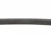 Ремень поликлиновой (Пр-во ContiTech) CONTITECH 6PK1019 ELAST (фото 2)