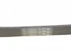 Ремень поликлиновой (Пр-во ContiTech) CONTITECH 6PK1019 ELAST (фото 3)