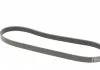 Ремень поликлиновой (Пр-во ContiTech) CONTITECH 6PK1019 ELAST (фото 5)
