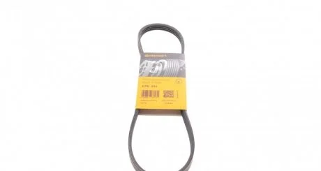 Ремень поликлиновой (Пр-во ContiTech) CONTITECH 4PK815