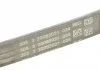 Ремень поликлиновой (Пр-во Contitech) CONTITECH 4PK753 ELAST (фото 3)