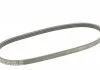 Ремень поликлиновой (Пр-во Contitech) CONTITECH 4PK753 ELAST (фото 5)