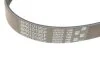 Ремінь поліклін. 6PK1019 (вир-во Gates) GATES 6PK1019SF (фото 3)