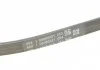 Поликлиновой ремень (Пр-во ContiTech) CONTITECH 3PK628 ELAST (фото 4)