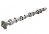 Розподільчий вал FRECCIA CM052196 (фото 1)