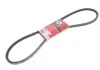 Ремень клиновой AVX 13х1275 (пр-во Gates) GATES 6481MC (фото 2)