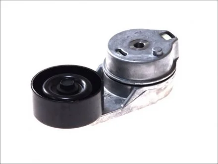 Роликовый модуль натяжителя ремня VW LT 28-46 II 2.8 TDI (пр-во) SKF VKM 31066