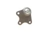 Опора шаровая р/к AUDI, SEAT, SKODA, VW передн. ось (пр-во Lemferder) LEMFORDER 25524 02 (фото 2)