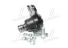 Опора кульова нижня Opel Astra G/H Vectra B Omega B Zafira A/B Meriva B 98- (вир-во) CTR CBG79 (фото 1)