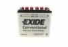 Аккумулятор 24Ah-12v Exide (12N24-3A) (184х124х175) R, EN220 EXIDE 12N243A (фото 8)