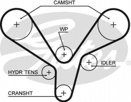 Ремінь ГРМ GATES 5636 XS (фото 1)