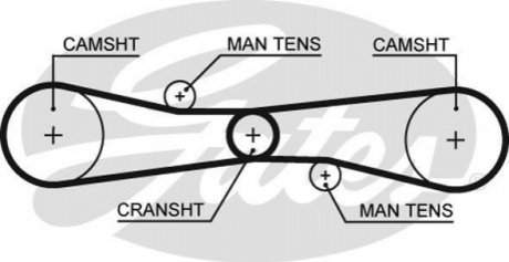 Ремінь ГРМ GATES T275