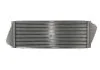 Интеркулер MERCEDES SPRINTER W 901-905 (95-) (пр-во Nissens) NISSENS 96842 (фото 2)