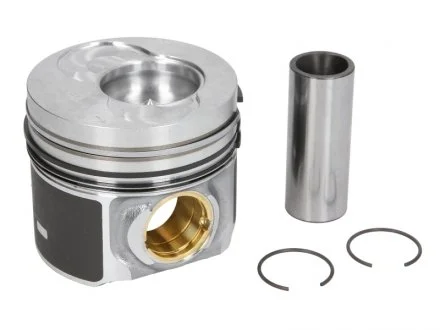Поршень з кільцями VAG 81,01 2,5TDi AXD/AXE/BLJ T5 1-2 цил. 04- (вир-во) NURAL 8742100010