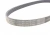 Поликлиновой ремень (Пр-во Contitech) CONTITECH 6PK989 ELAST (фото 2)