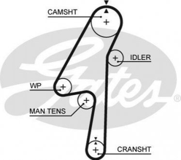 Ремінь ГРМ GATES 5580 XS