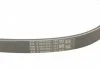 Ремень поликлиновой (Пр-во ContiTech) CONTITECH 5PK1387 (фото 3)