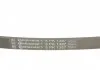 Ремень поликлиновой (Пр-во ContiTech) CONTITECH 5PK1387 (фото 4)