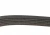 Дорiжковий ремінь DAYCO 6PK1750 (фото 3)
