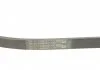 Поликлиновой ремень (Пр-во ContiTech) CONTITECH 4PK885 ELAST (фото 3)