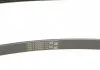 Поликлиновой ремень (Пр-во Contitech) CONTITECH 5PK1260 (фото 5)