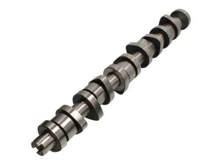 Распредвал VW T5 2.5TDI AXD/AXE/BAC/BLJ/BLK (пр-во) AE CAM916