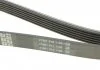Ремень поликлин. (пр-во) DAYCO 6PK1437 (фото 3)