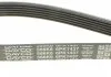 Ремень поликлин. (пр-во) DAYCO 6PK1437 (фото 4)