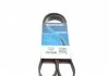 Доріжковий пас DAYCO 6PK1195