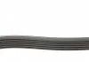 Доріжковий пас DAYCO 6PK1130 (фото 3)
