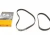 Комплект ременів ГРМ CONTI SYNCHROBELT (CT882 + CT883) CONTITECH CT901(SET) (фото 1)