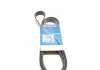 Ремень поликлиновый (пр-во) DAYCO 6PK2150S (фото 1)