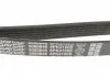 Ремень поликлиновый (пр-во) DAYCO 6PK2150S (фото 3)