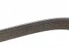 Ремень поликлиновый (пр-во) DAYCO 6PK2150S (фото 4)