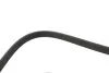 Поликлиновые ремни Micro-V XS (Пр-во Gates) GATES 6PK1853XS (фото 4)