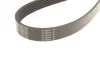 Ремень поликлин. (пр-во) DAYCO 6PK2300 (фото 3)