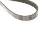 Ремень поликлин. (пр-во) DAYCO 6PK2300 (фото 4)