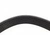 Ремень поликлин. VW (пр-во) DAYCO 6PK2240 (фото 4)