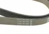 Ремень поликлин. (пр-во) DAYCO 6PK2195 (фото 3)
