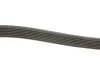 Поликлиновые ремни Micro-V (Пр-во Gates) GATES 7PK2053 (фото 3)