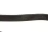 Поликлиновые ремни Micro-V (Пр-во Gates) GATES 7PK1870 (фото 3)