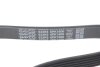 Ремень поликлиновый DAYCO 6PK1606 (фото 4)