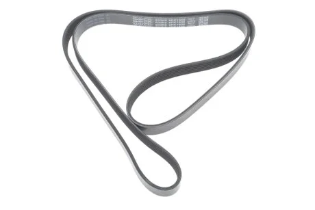 Ремень поликлиновый (пр-во) DAYCO 6PK1606