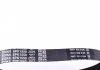 Ремень поликлин. (пр-во) DAYCO 6PK1550 (фото 2)