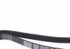 Ремень поликлиновый (пр-во) DAYCO 6PK1323S (фото 2)