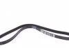 Ремень поликлиновый (пр-во) DAYCO 6PK1323S (фото 3)